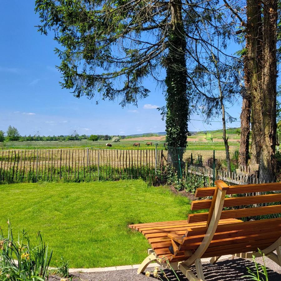 Komfort Ferienwohnungen Mit Wellness-Garten - Gaestehaus Am Bachlauf - Losheim Am See Kültér fotó