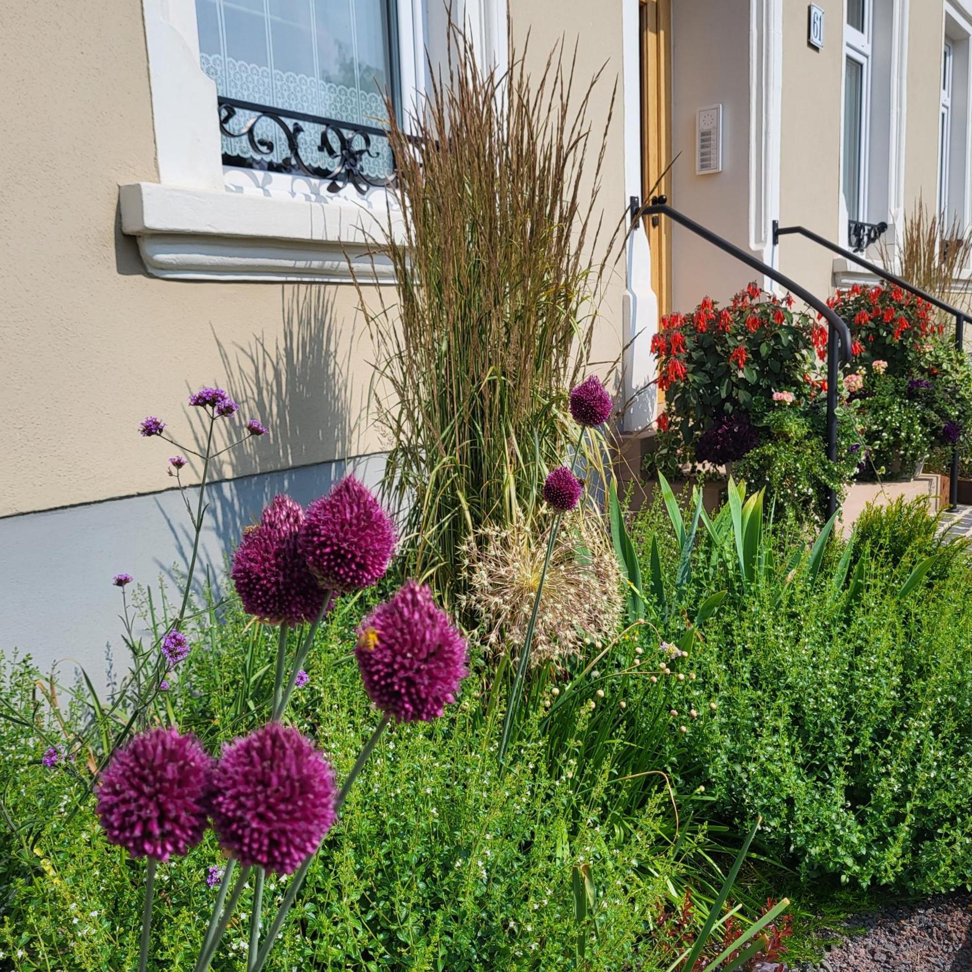 Komfort Ferienwohnungen Mit Wellness-Garten - Gaestehaus Am Bachlauf - Losheim Am See Kültér fotó