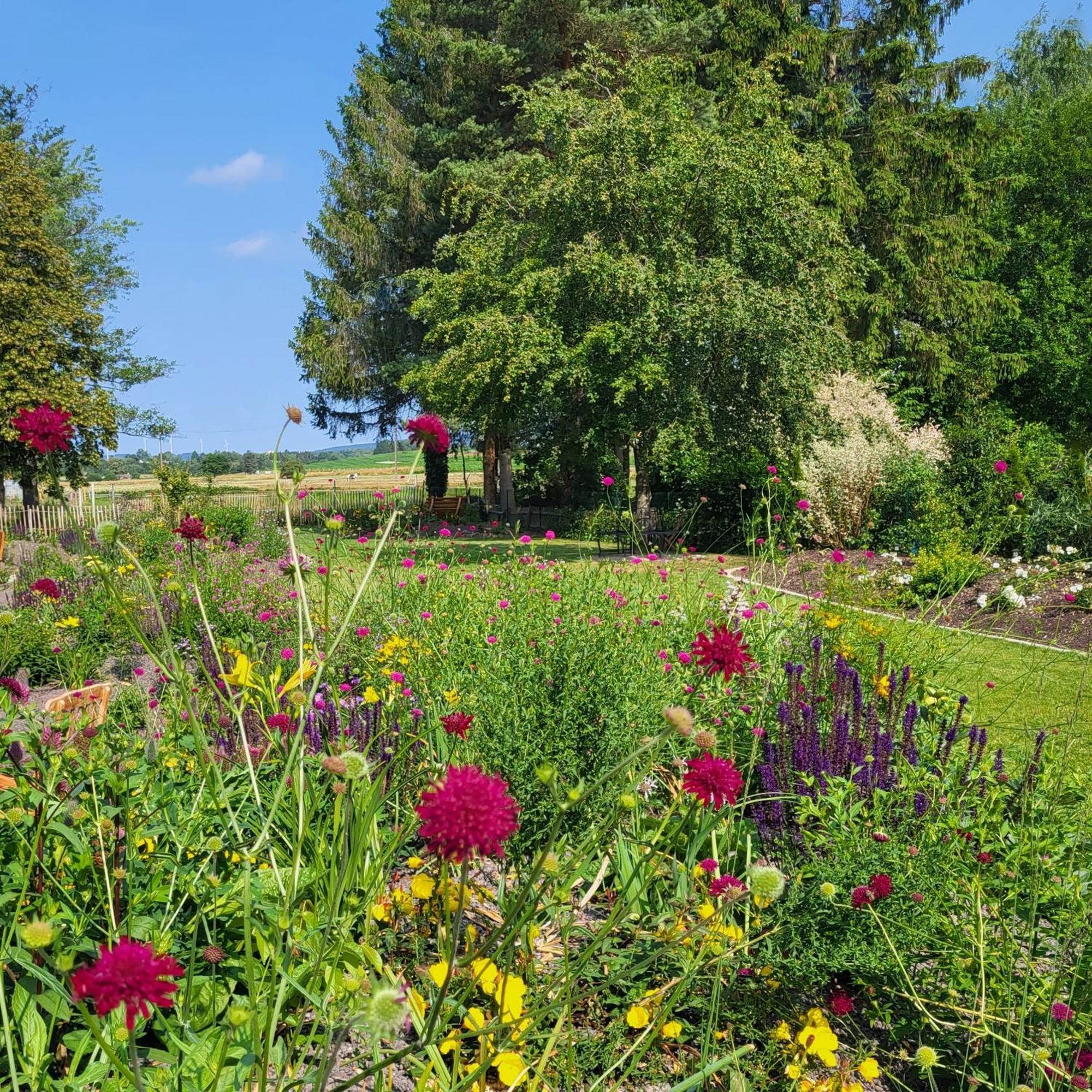 Komfort Ferienwohnungen Mit Wellness-Garten - Gaestehaus Am Bachlauf - Losheim Am See Kültér fotó