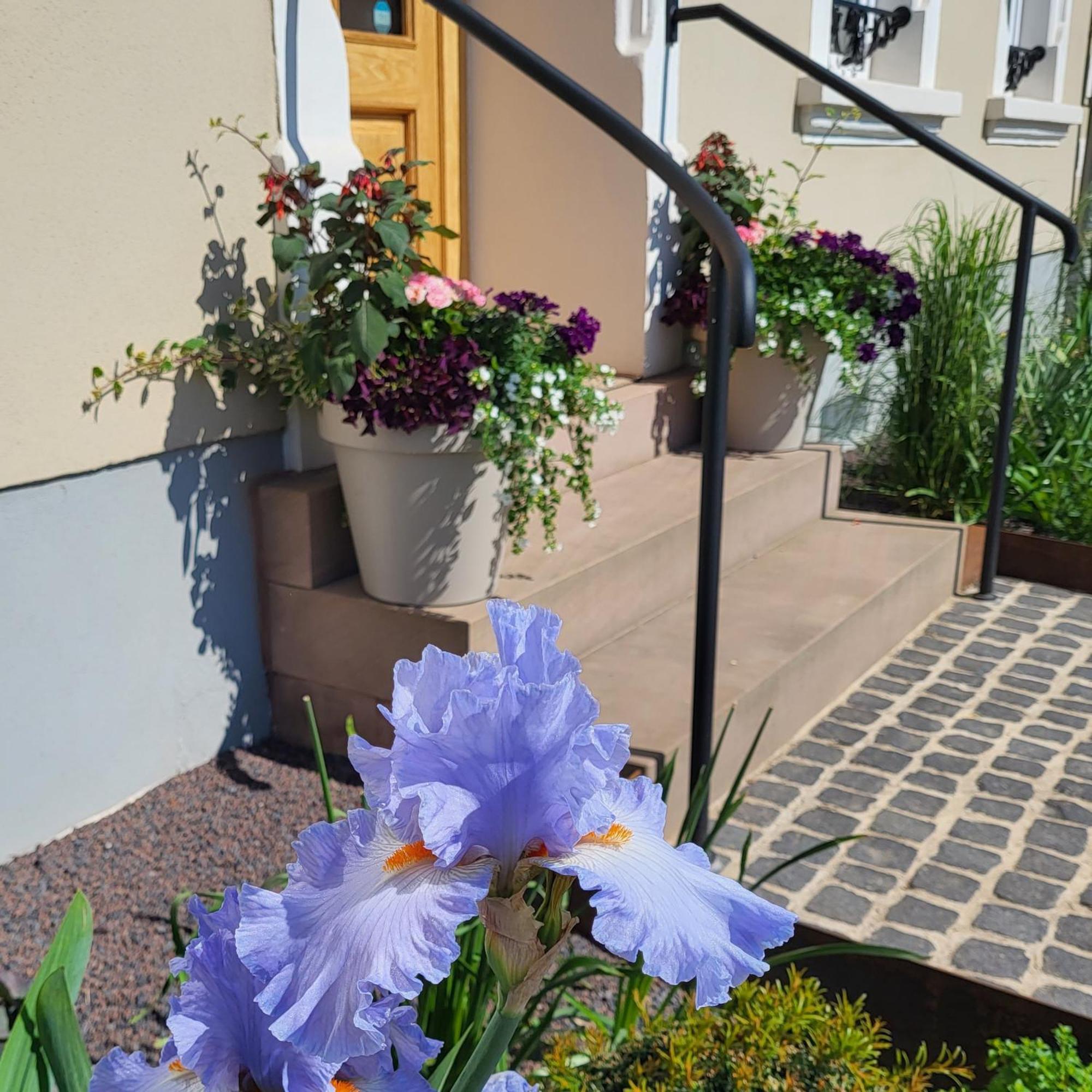 Komfort Ferienwohnungen Mit Wellness-Garten - Gaestehaus Am Bachlauf - Losheim Am See Szoba fotó