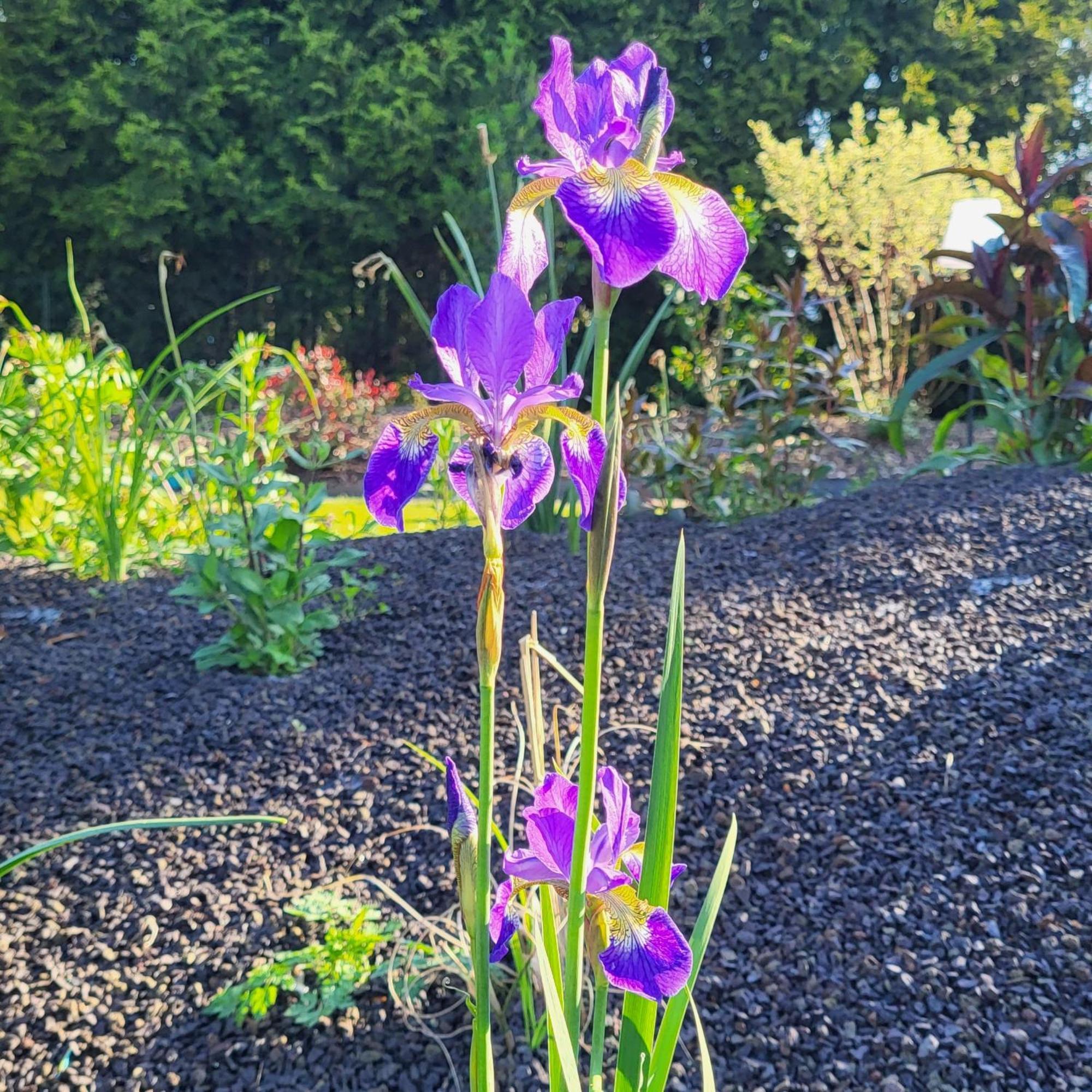 Komfort Ferienwohnungen Mit Wellness-Garten - Gaestehaus Am Bachlauf - Losheim Am See Szoba fotó